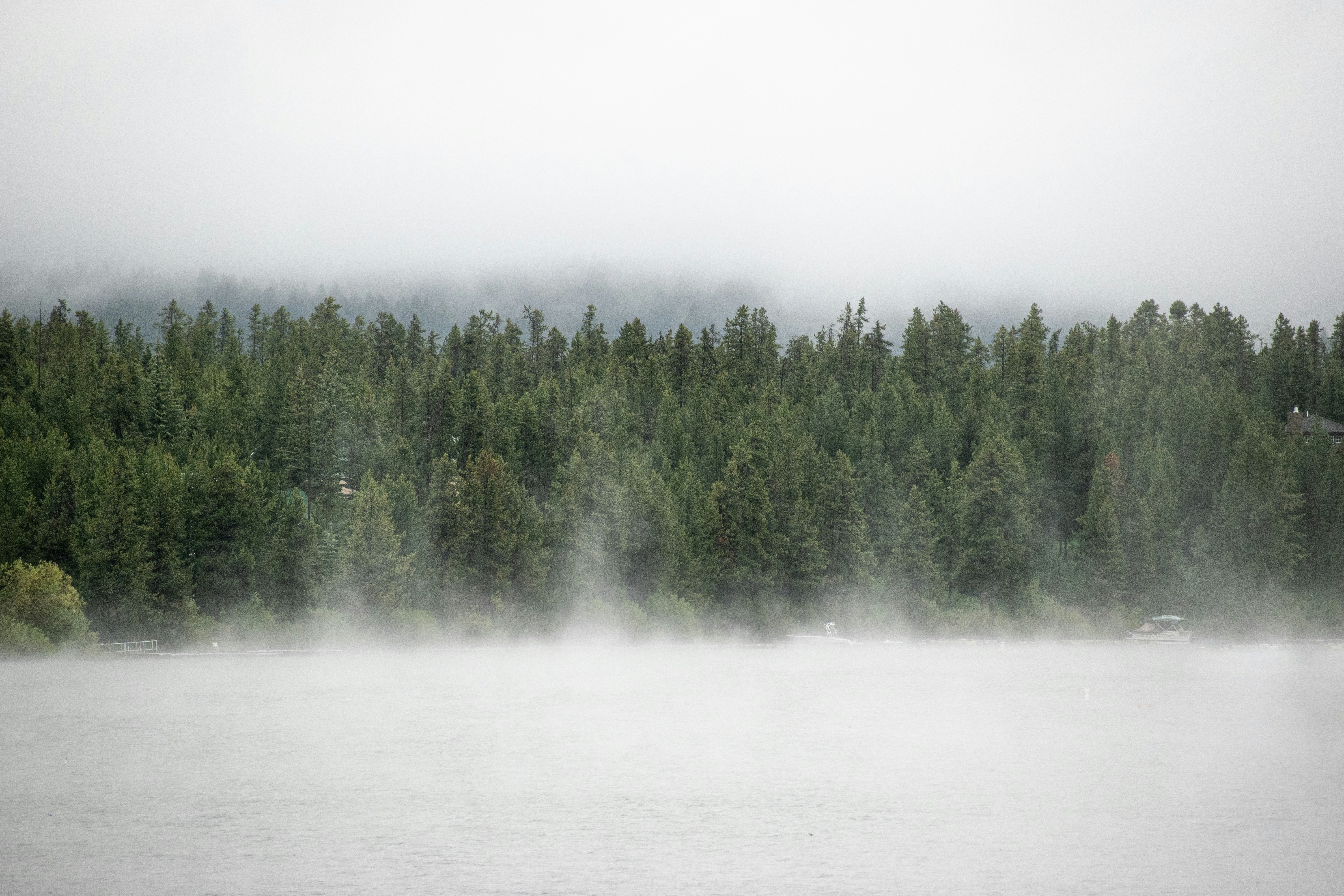 Fog and the Water Cycle (image credits: unsplash)