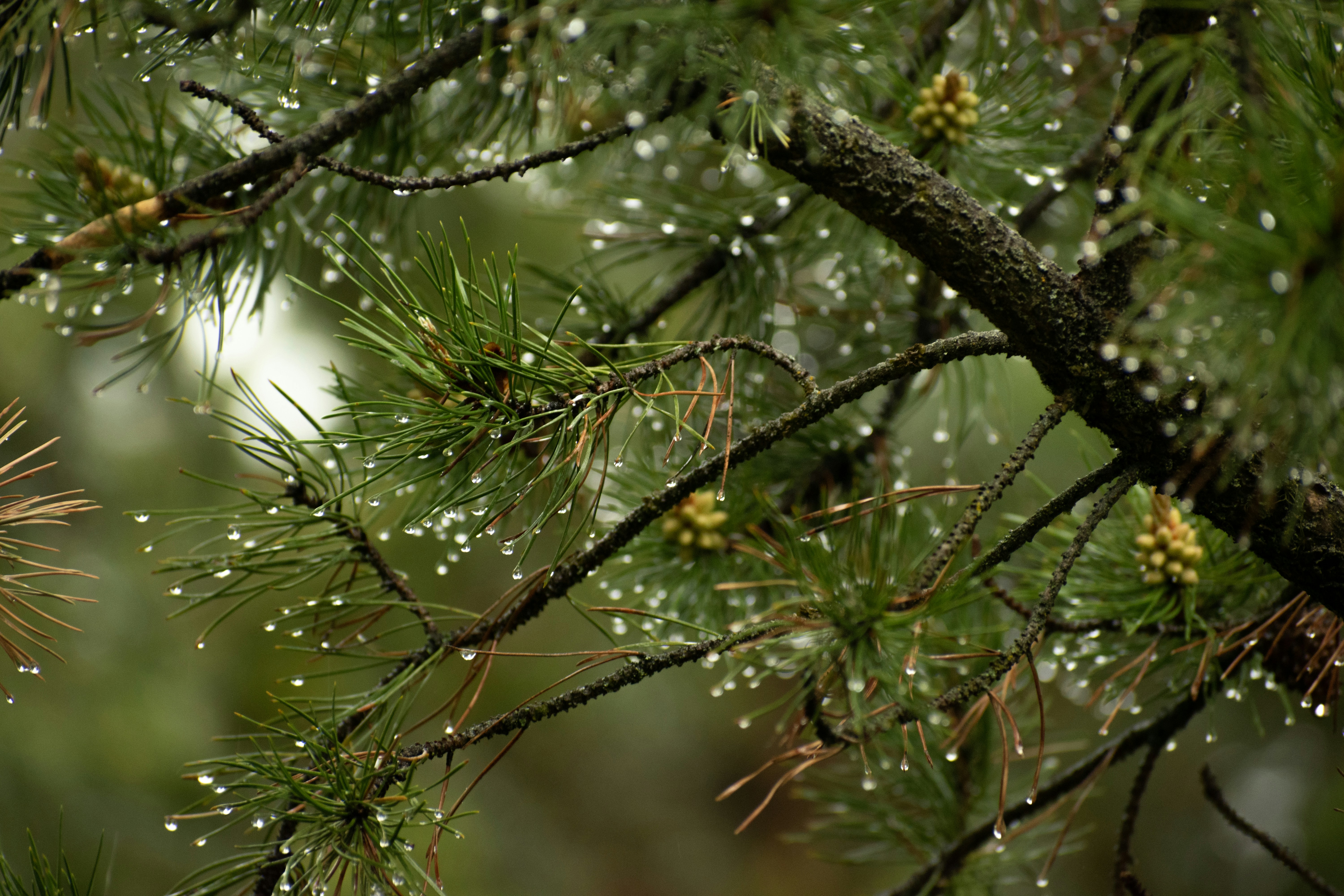 Photo by therealmarquito