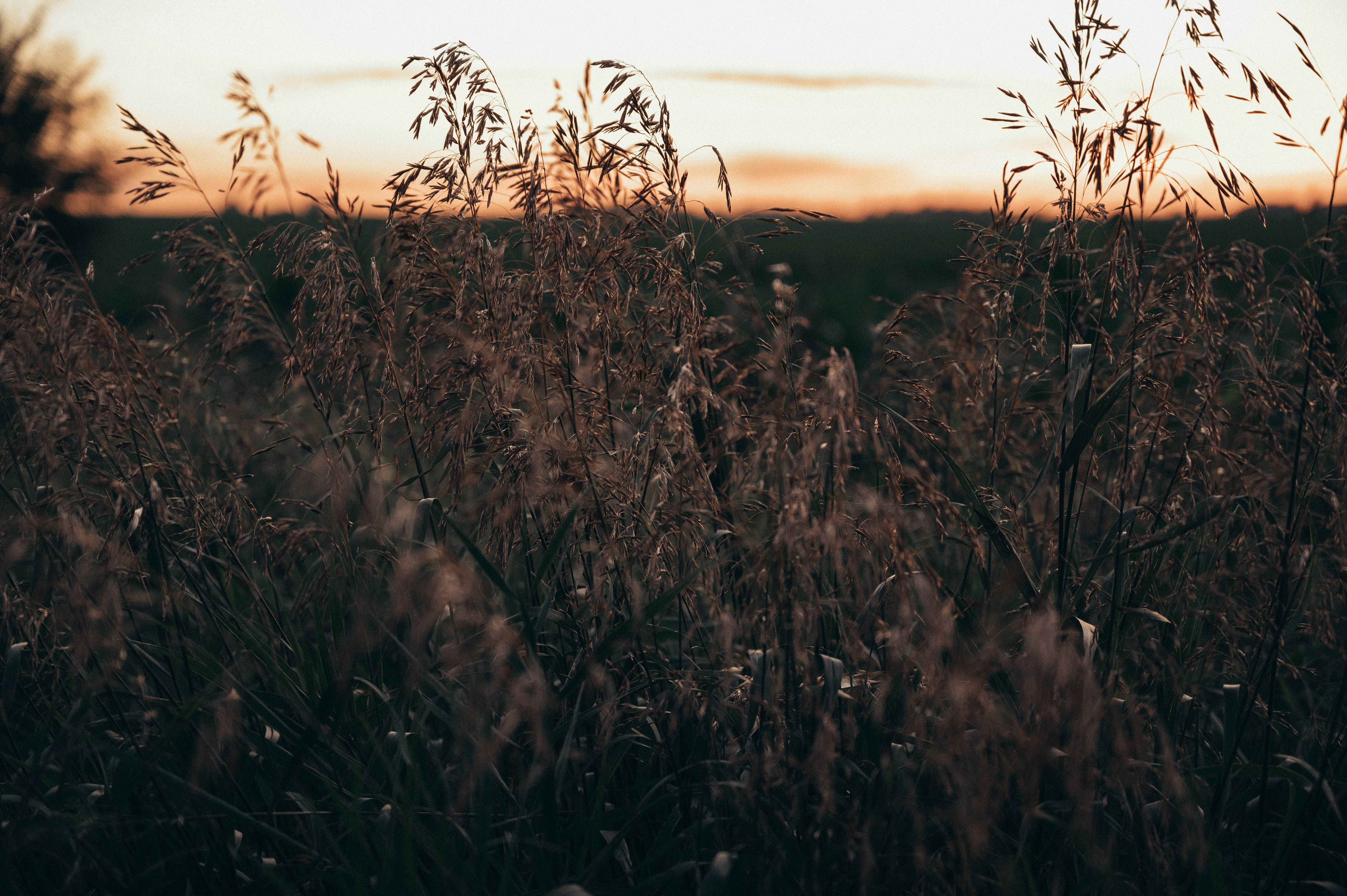 Photo by maddieleopardo