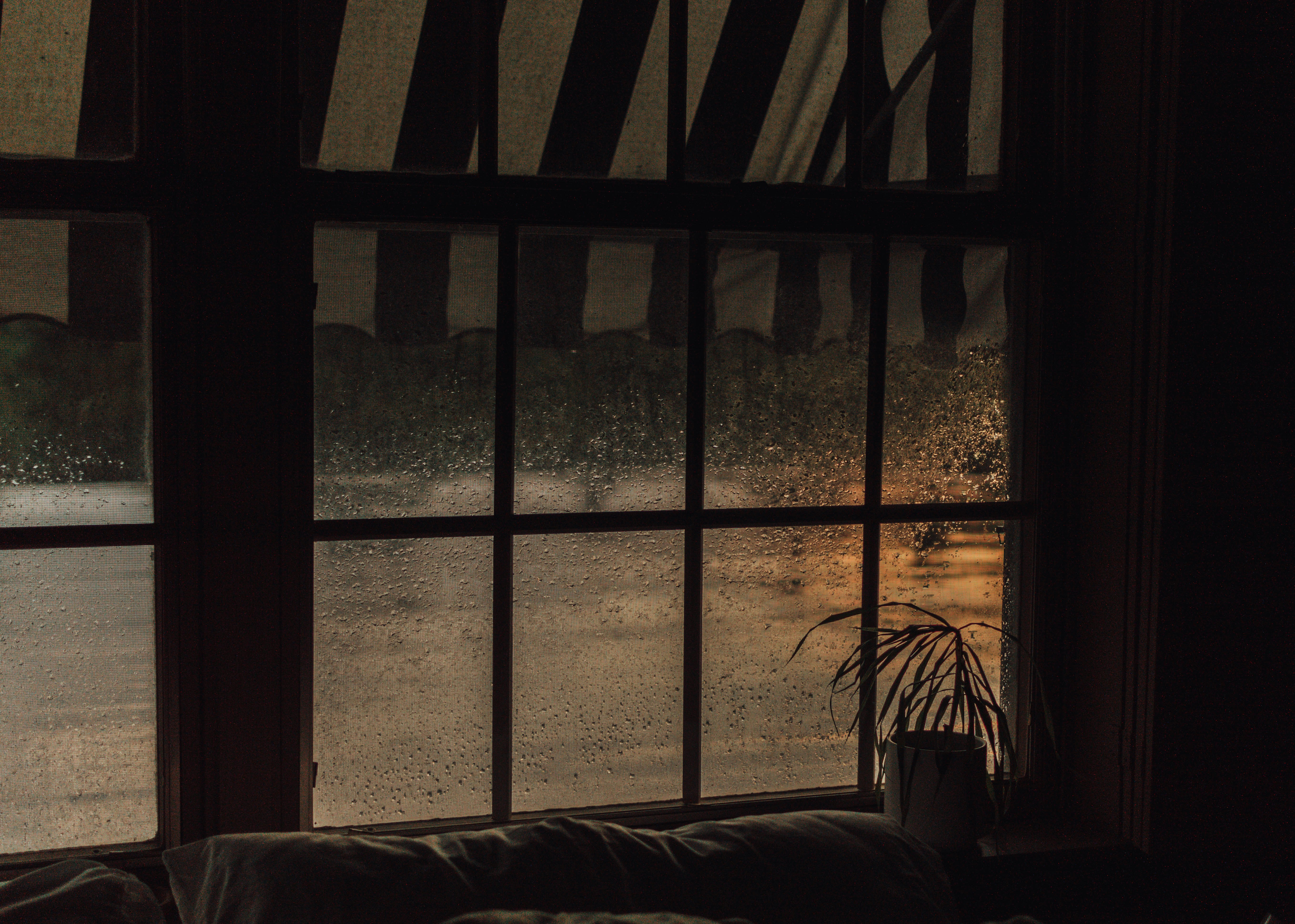 따뜻한 차를 마시는 모습