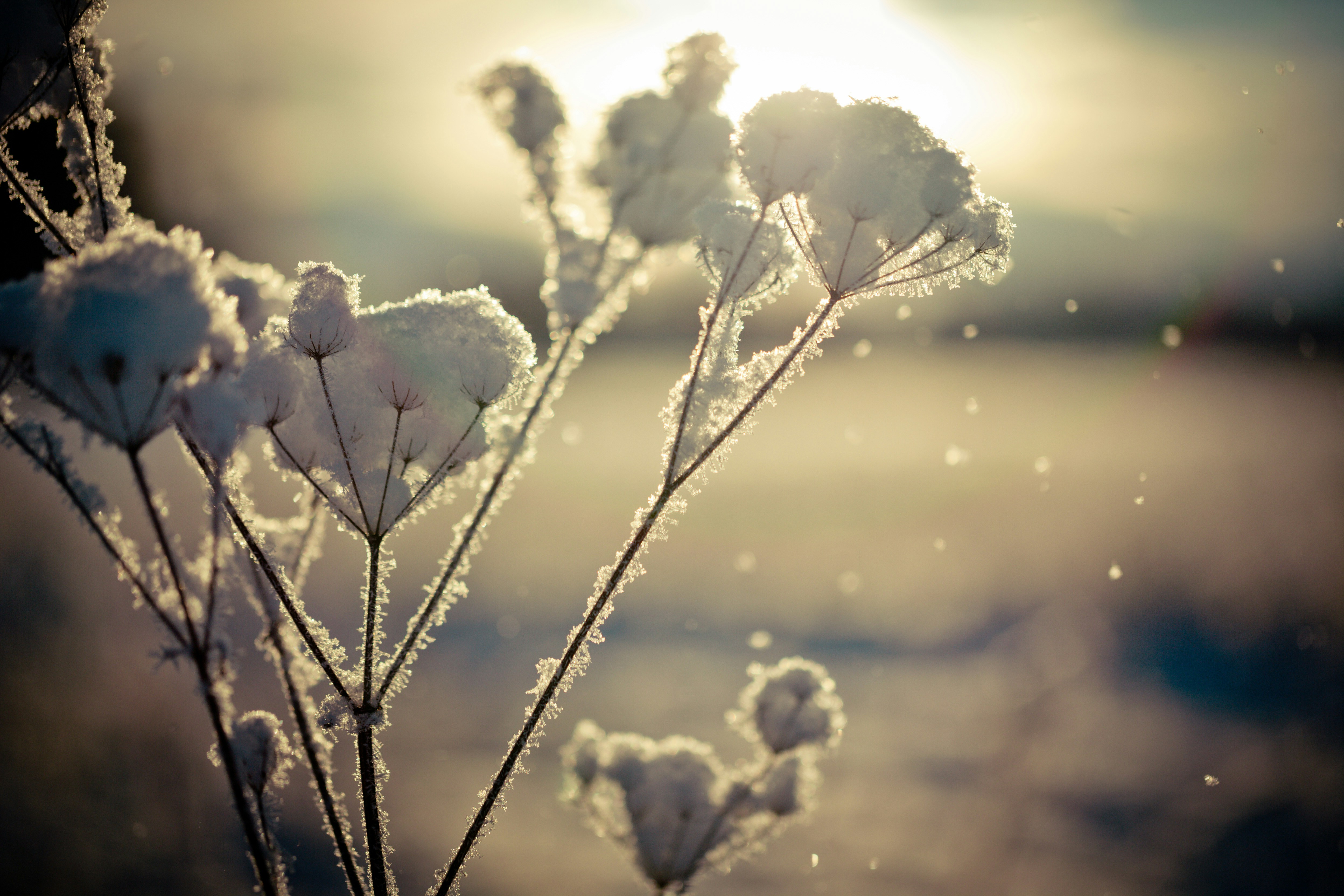 Photo by raimondklavins