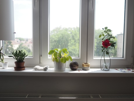 red flowers on white ceramic vase beside window