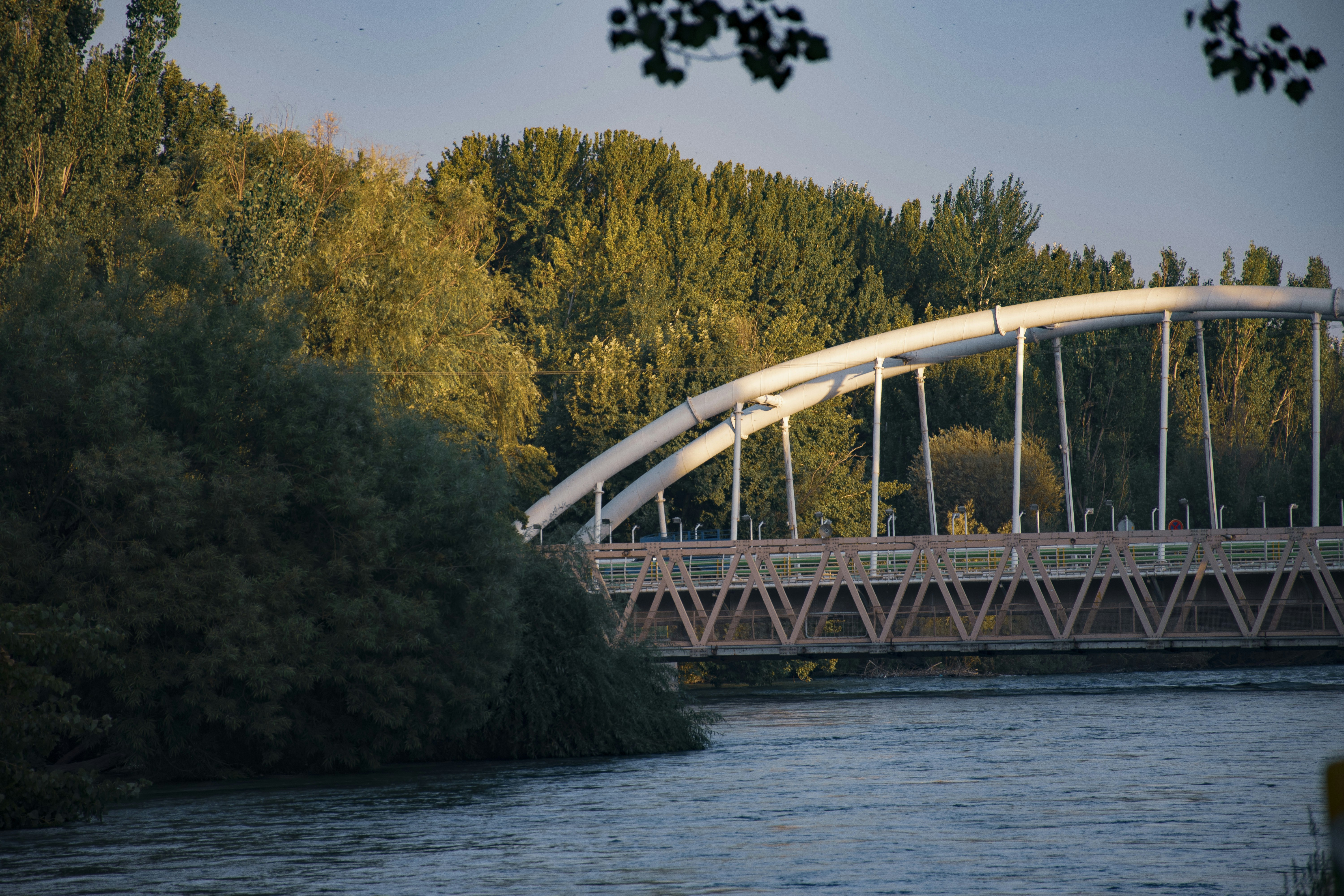 Image by aly via Unsplash