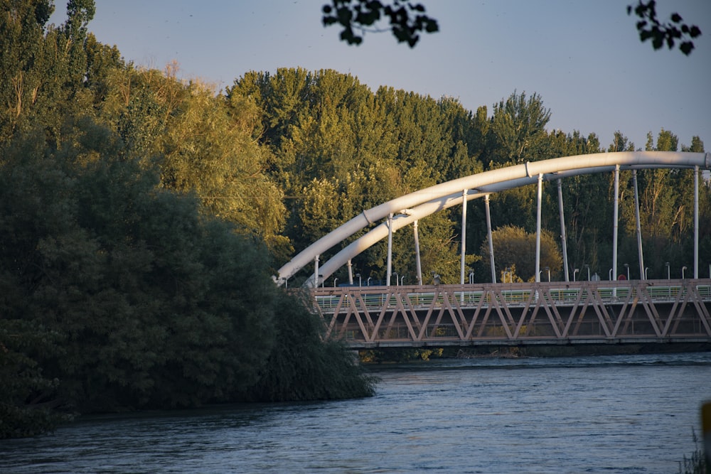 white bridge over river surrounded by trees