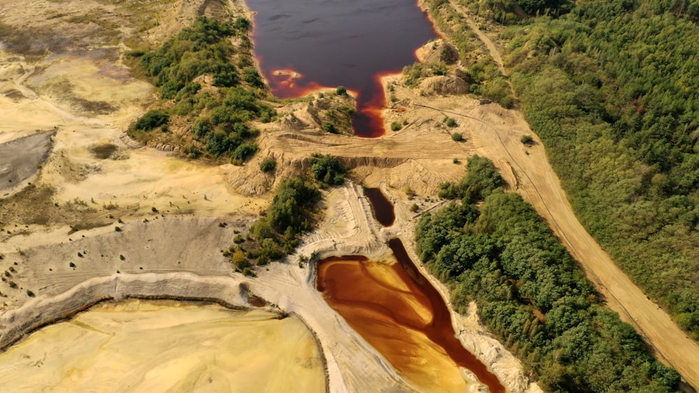 aerial view of green trees and brown sand beach