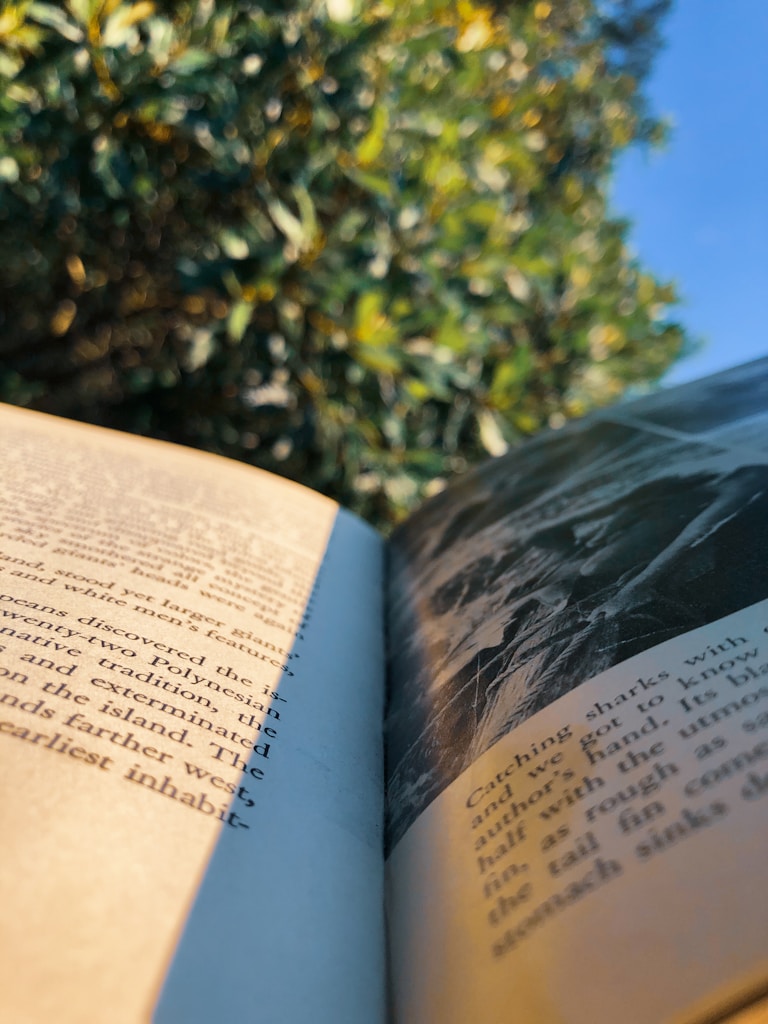 The Publishing Path