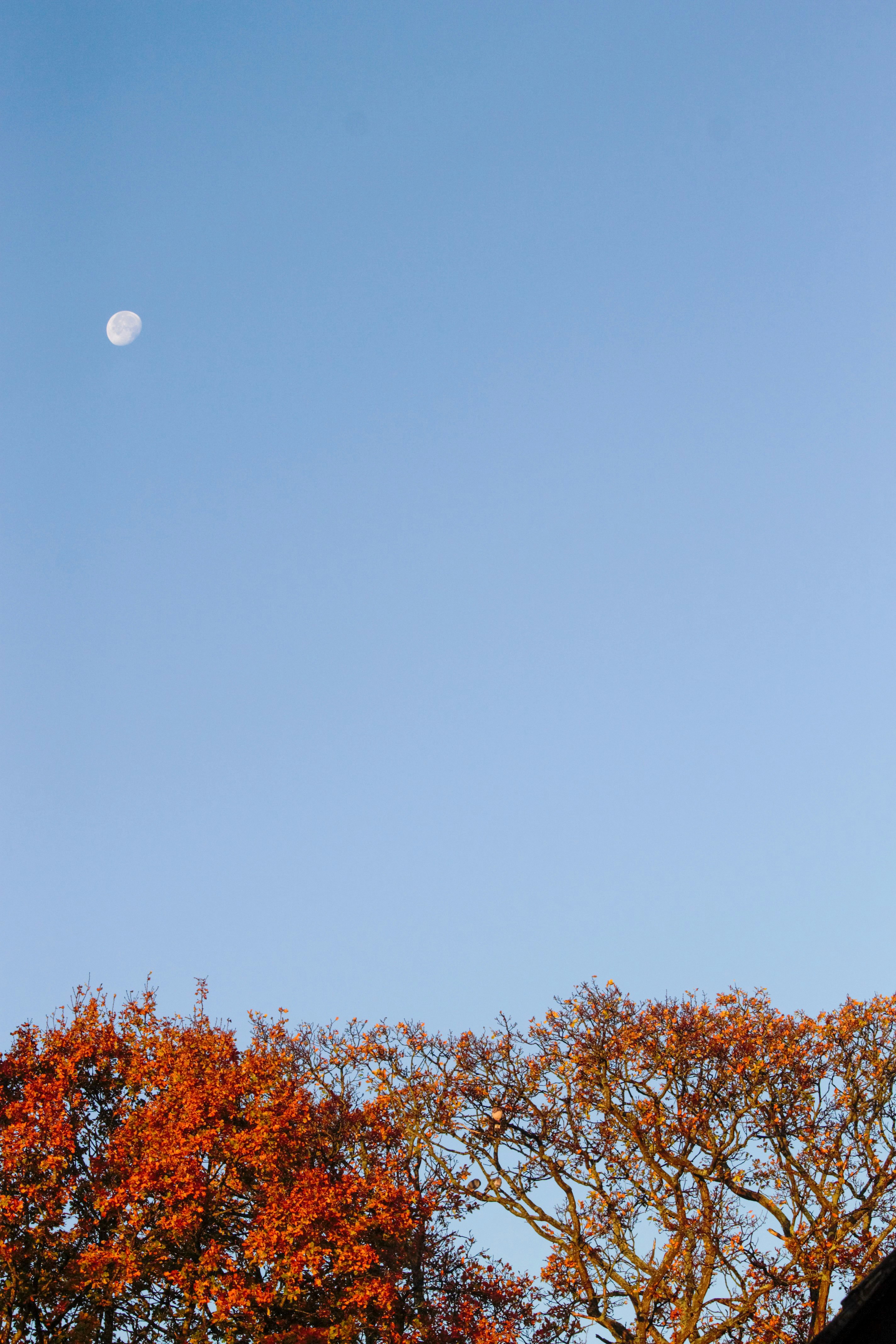 Photo by mjpringles