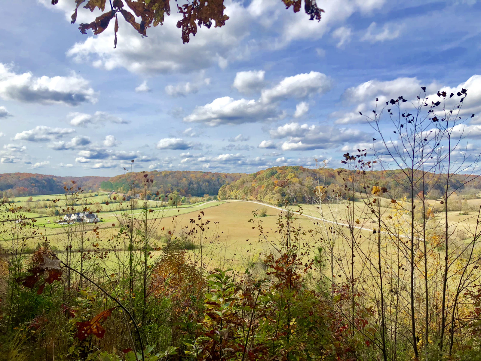 An open grass field under a blue sky.