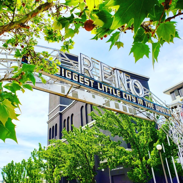 Best Time to Visit Reno: Weather & Season Guide