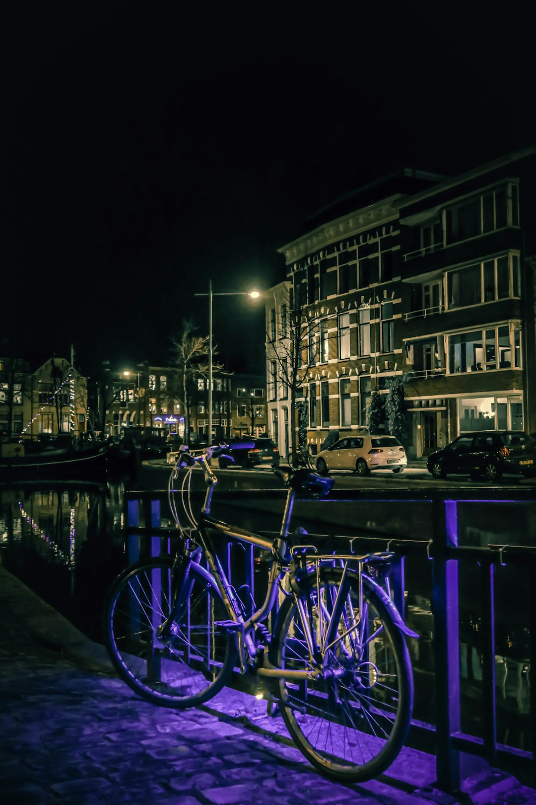 blue bicycle parked beside black metal railings near body of water during night time