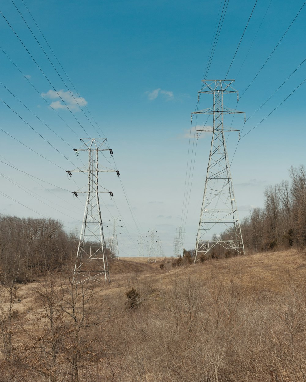 brown grass field with electric wires under blue sky during daytime