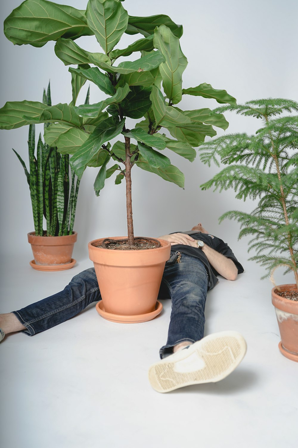 person in blue denim jeans and white sneakers sitting beside green plant