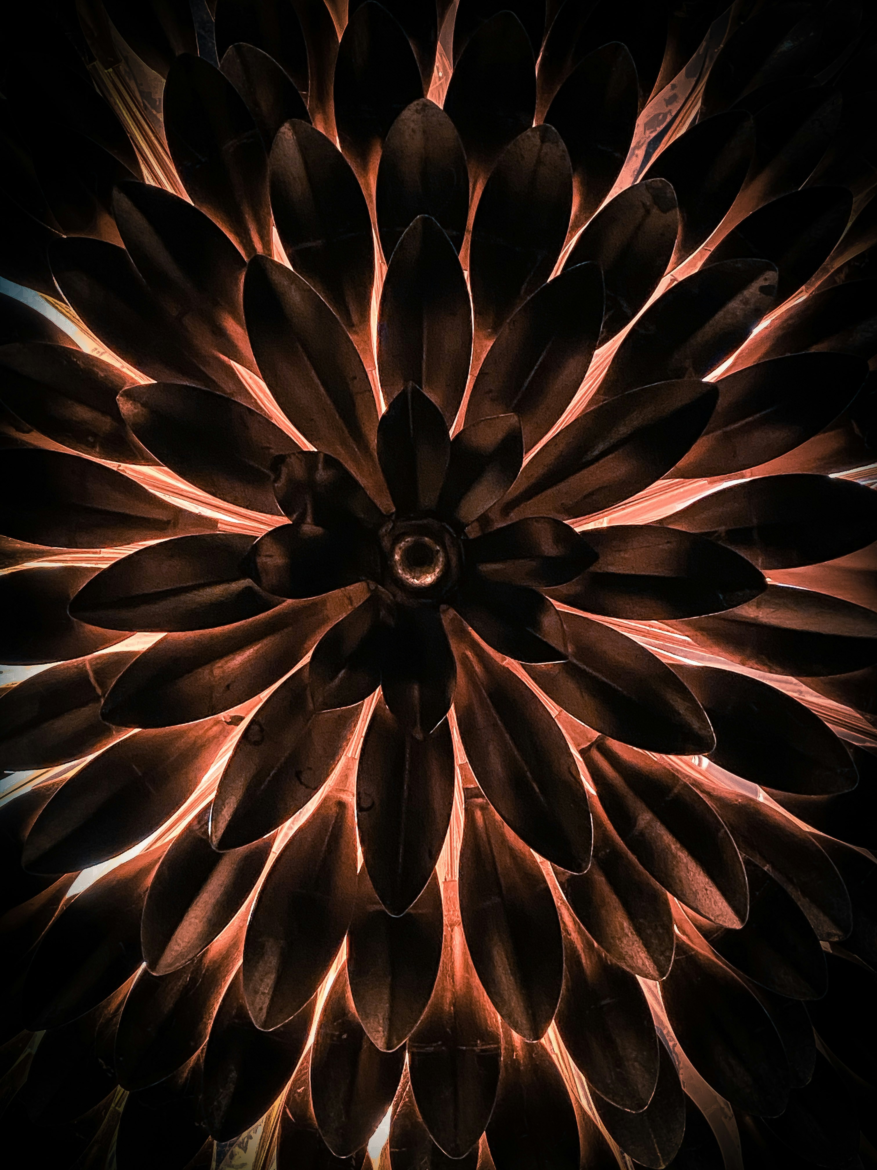 Photo by guss_bedolla