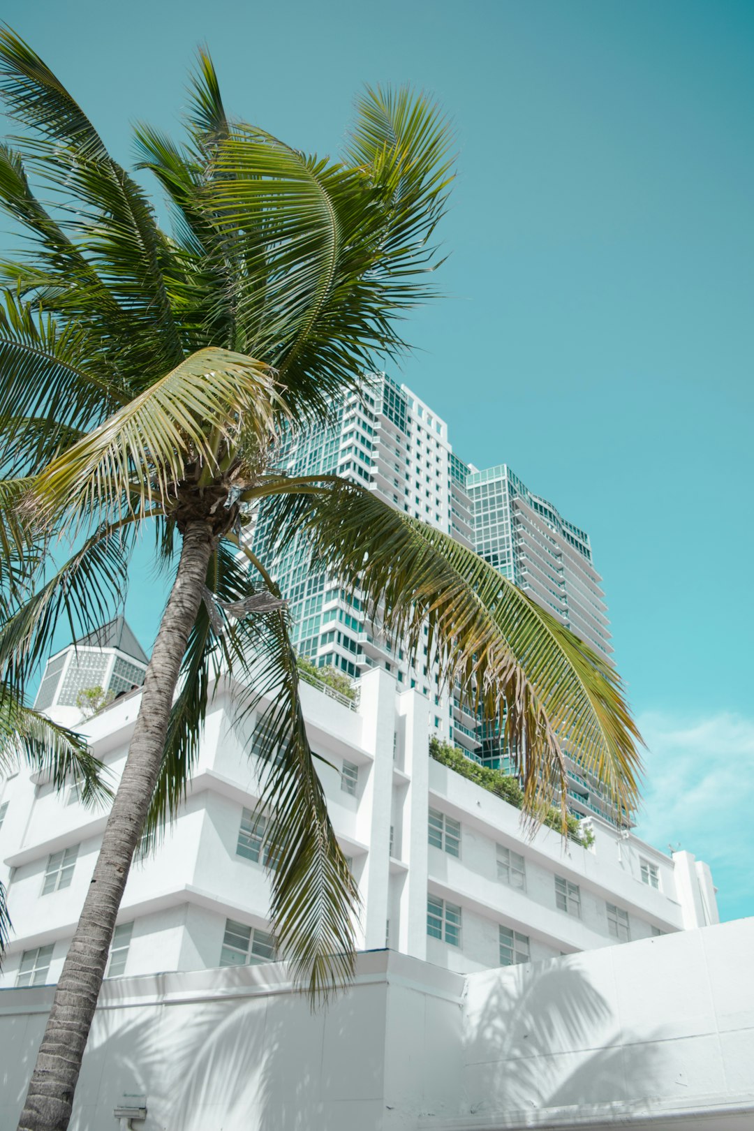 Miami Beach
