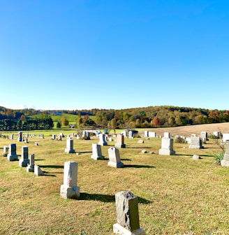 white cross on green grass field during daytime