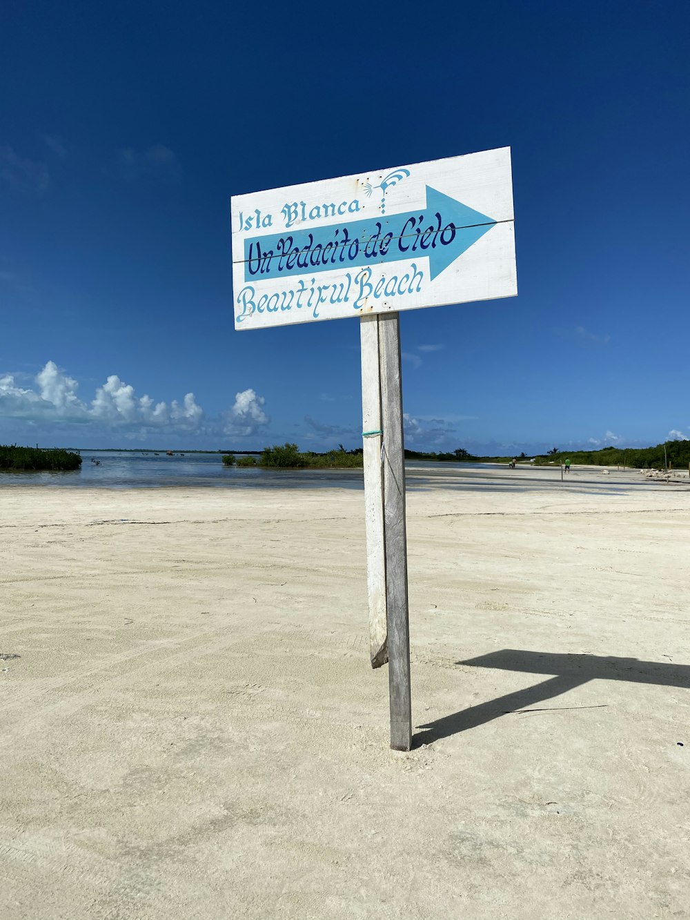 white and blue road sign