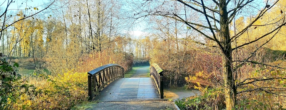 brown wooden bridge between trees during daytime