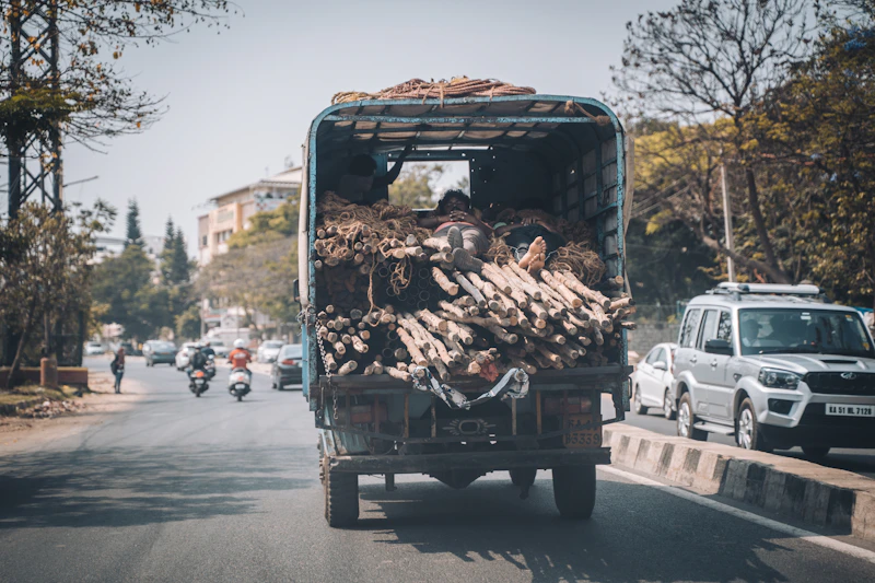Brown dried leaves on black truck