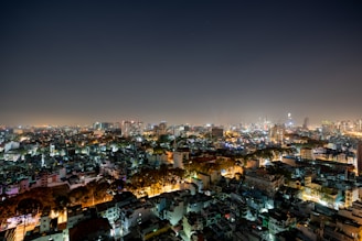 city with high rise buildings during night time