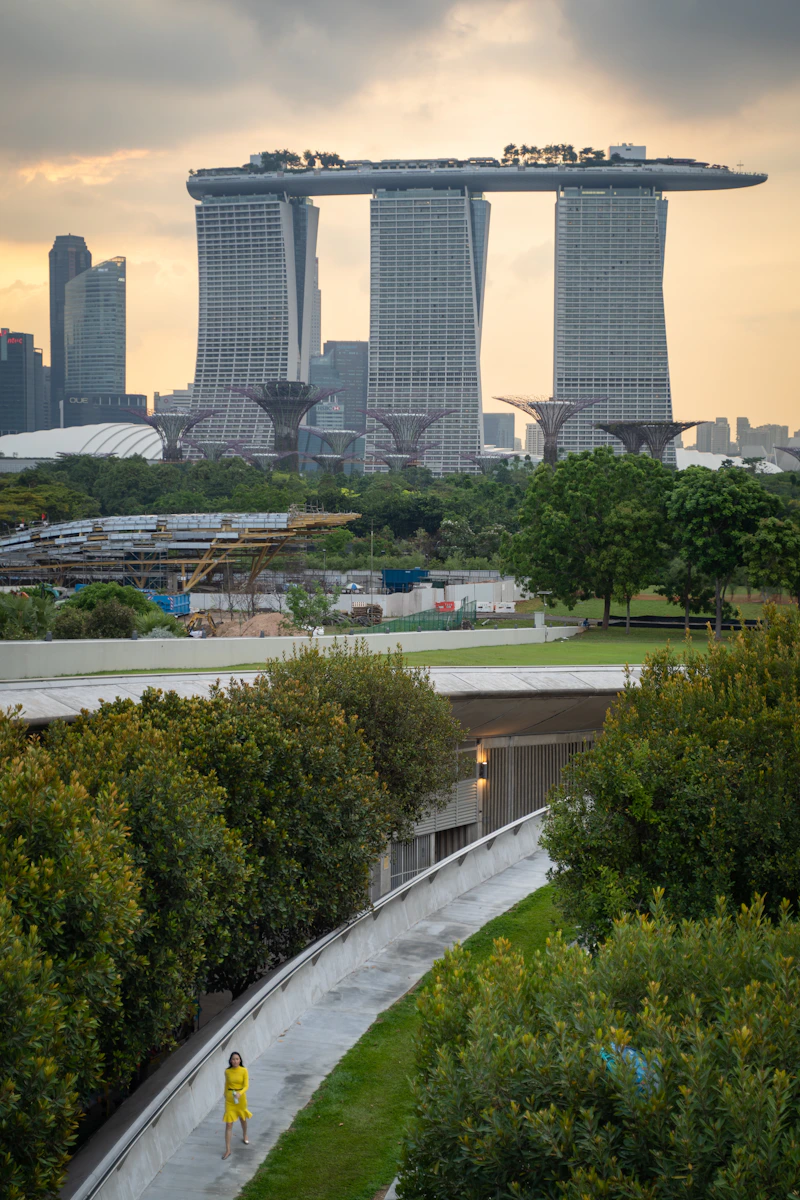 Green trees near city buildings during daytime