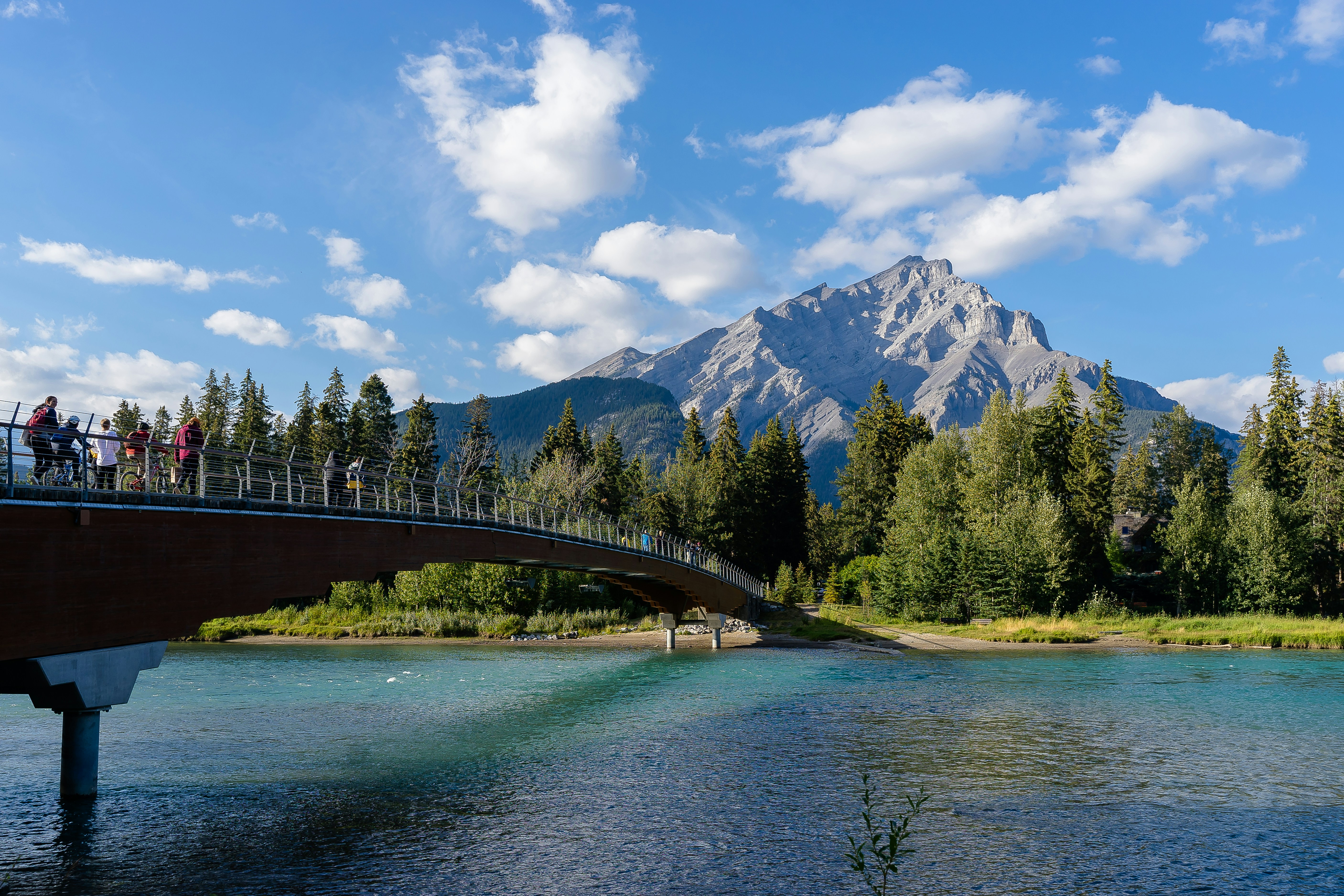 árvores verdes perto do corpo de água e montanha sob o céu azul durante o dia