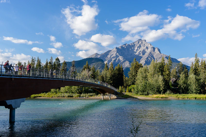 Green trees near body of water and mountain under blue sky