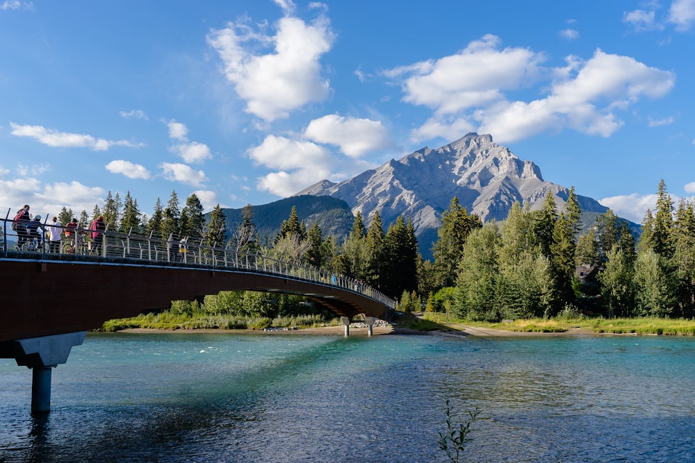 green trees near body of water and mountain under blue sky during daytime