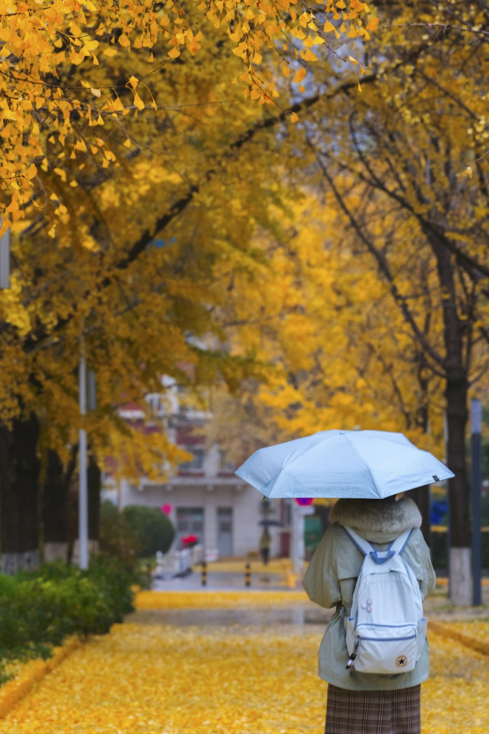 woman in white jacket holding umbrella standing near yellow leaf trees during daytime