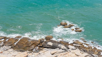brown rocks near body of water during daytime