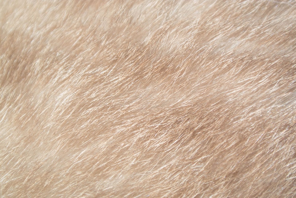 brown and white fur textile