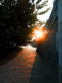 Sunset casting golden light over a development parcel with clear access paths.