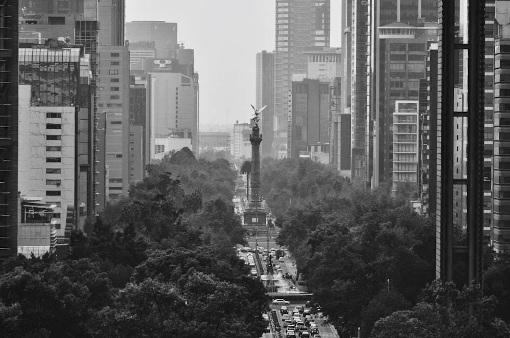 grayscale photo of high rise buildings