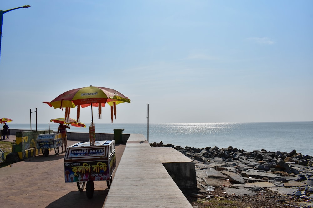 people on beach during daytime