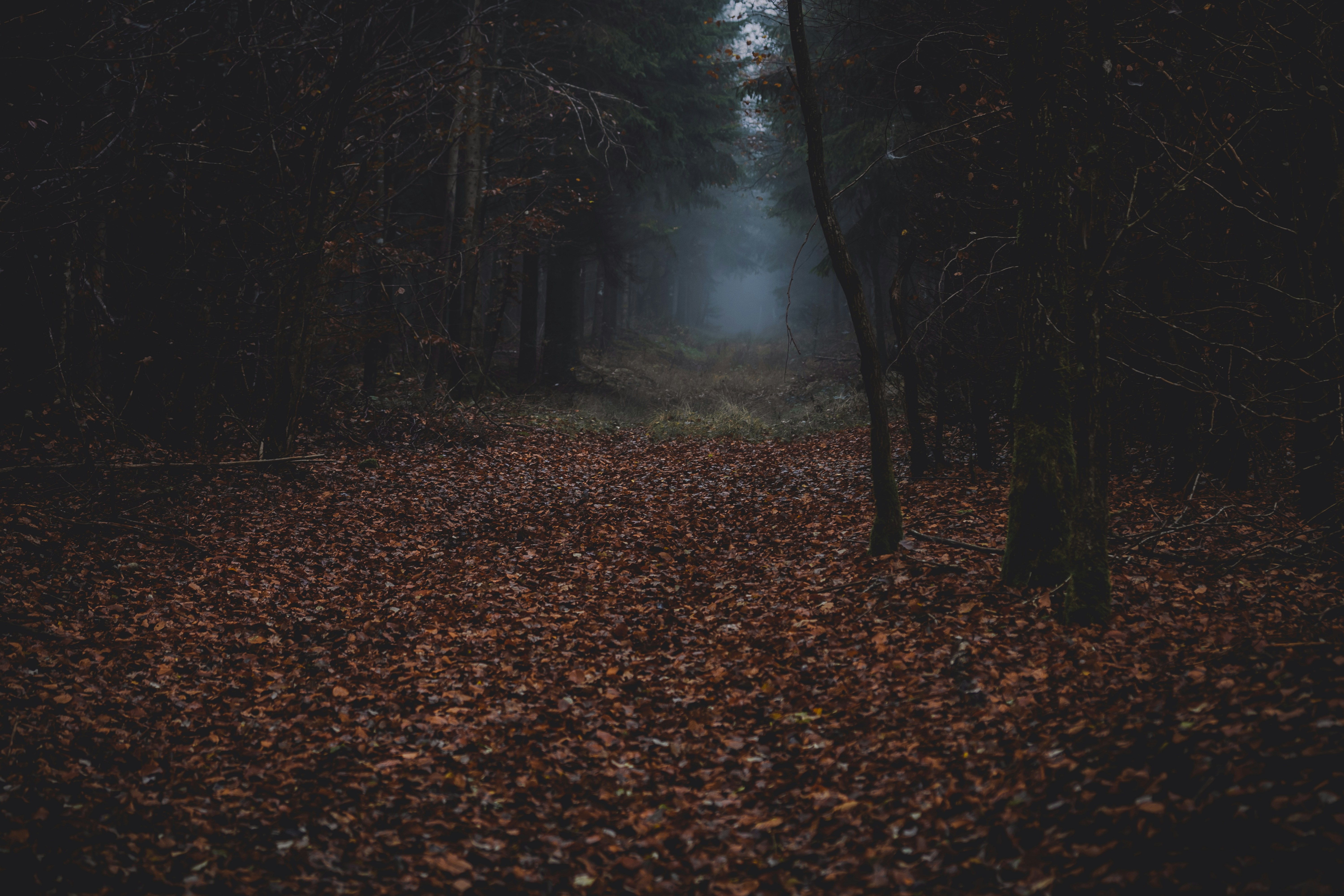 Photo by myriamzilles