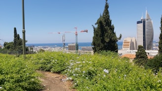 A scenic urban landscape featuring a mix of natural and architectural elements. In the foreground, lush green shrubs with small white flowers are visible. There are tall evergreen trees and a lamp post. The background showcases a cityscape with modern skyscrapers, including a uniquely shaped building. Red cranes are visible, suggesting ongoing construction. The sea is visible on the horizon under a clear blue sky.