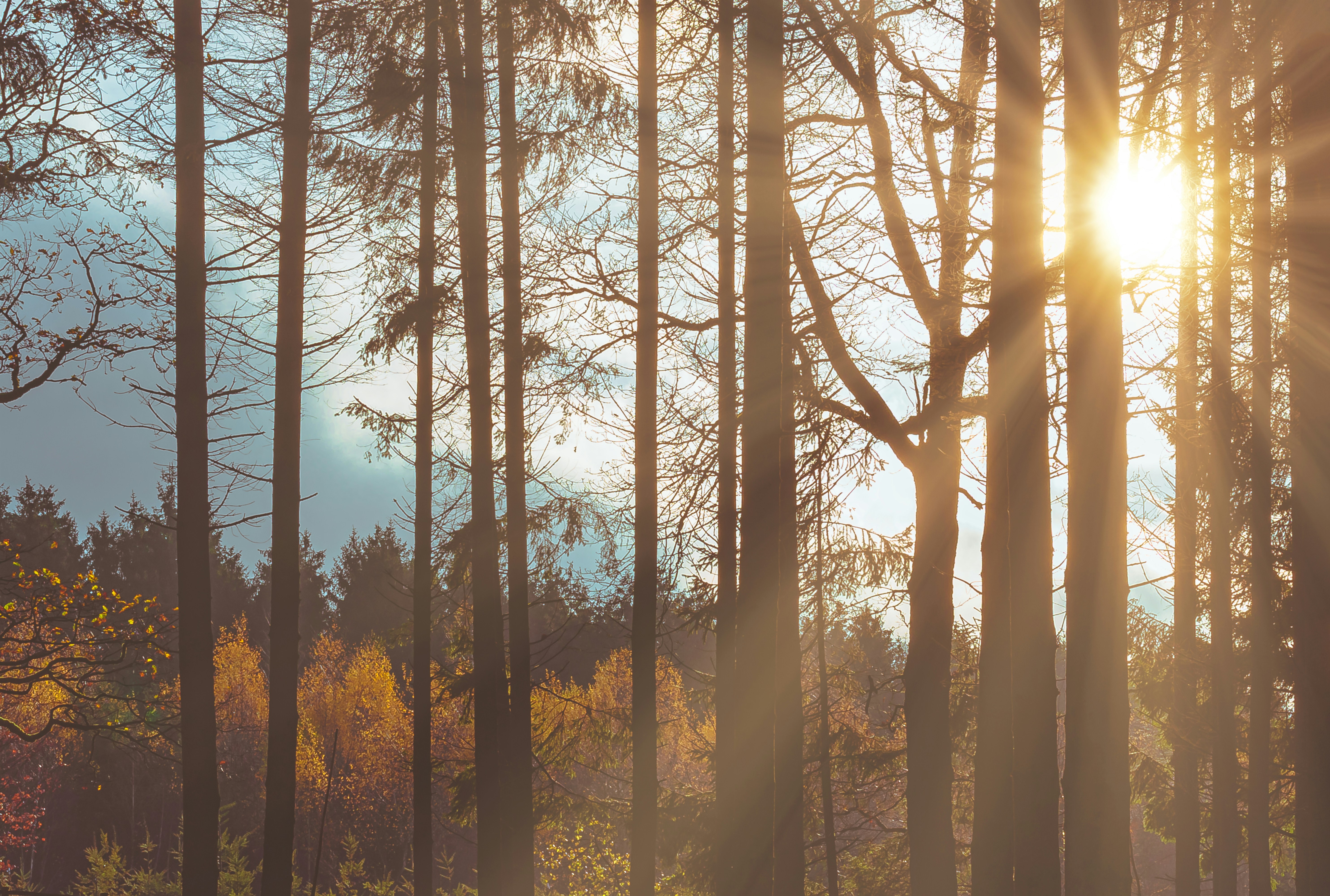 Photo by myriamzilles