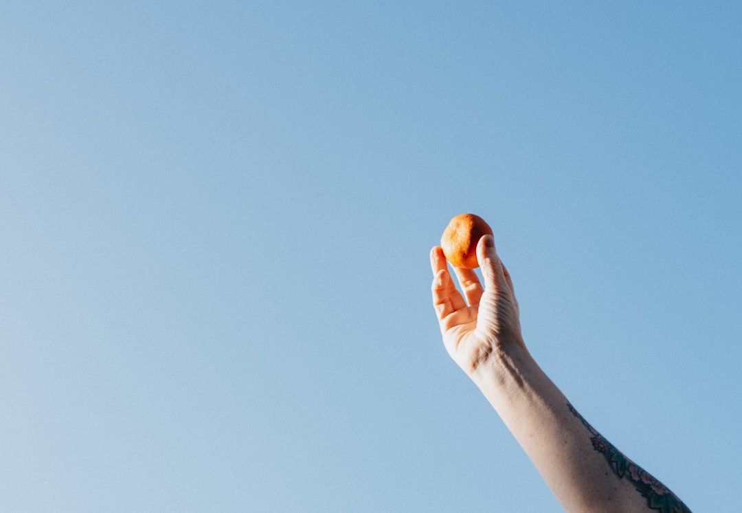 person holding orange fruit during daytime