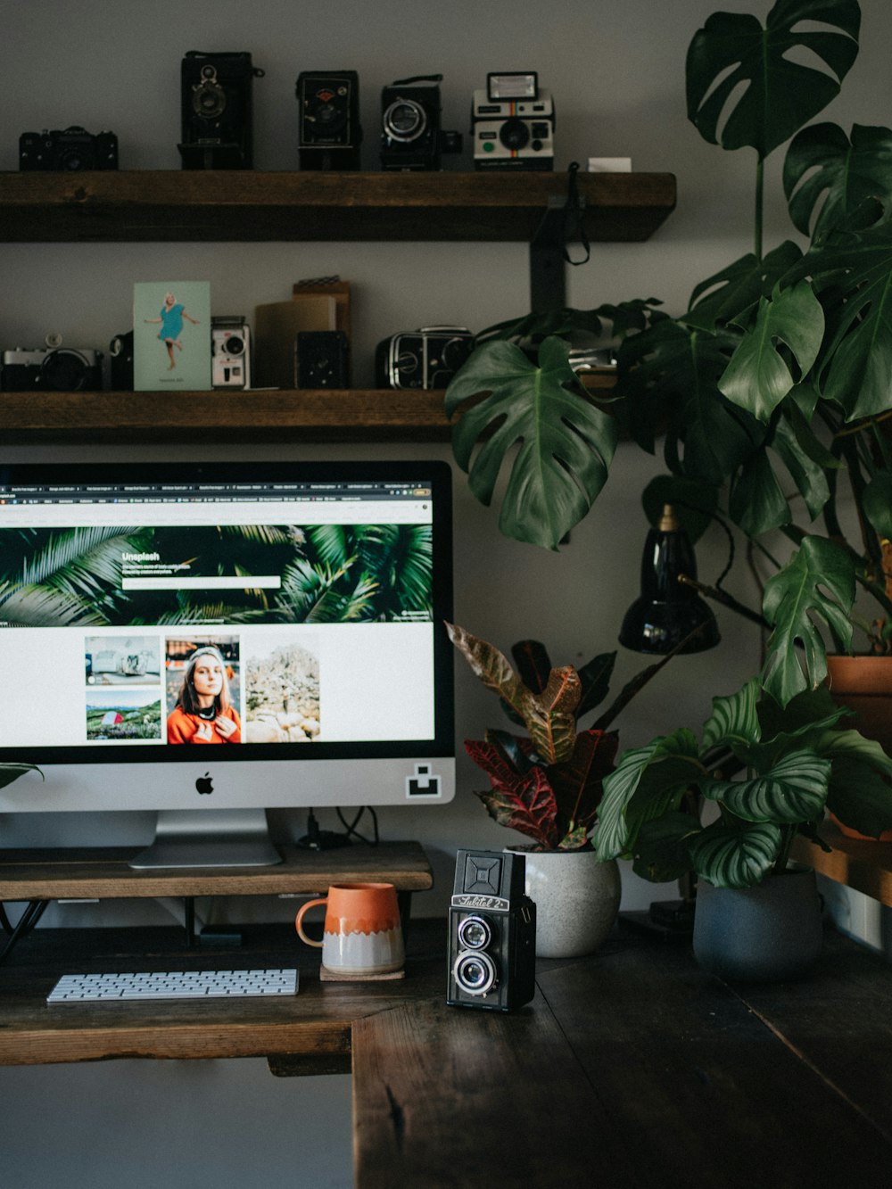 black flat screen tv turned on near green potted plant