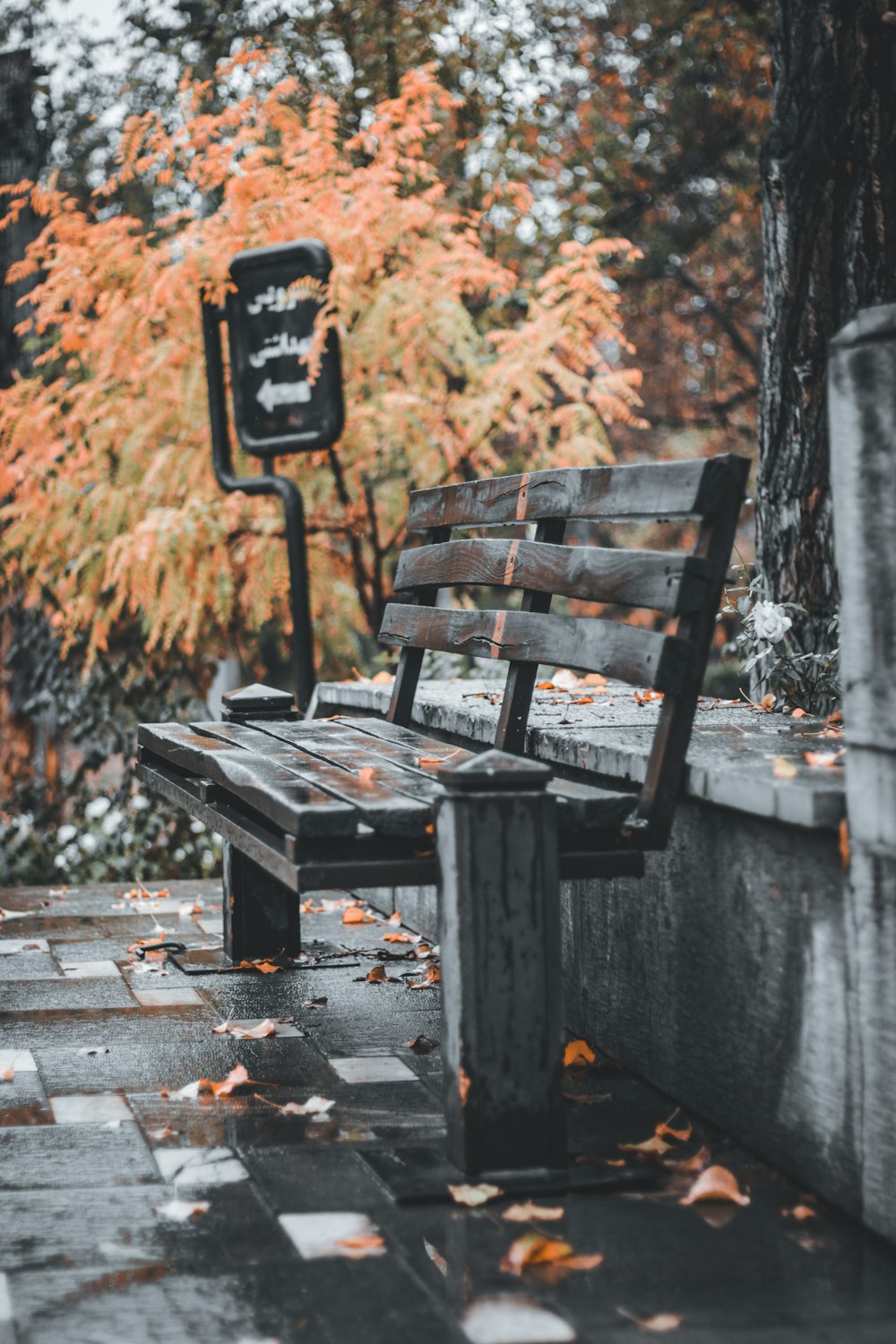 black wooden bench on wooden dock