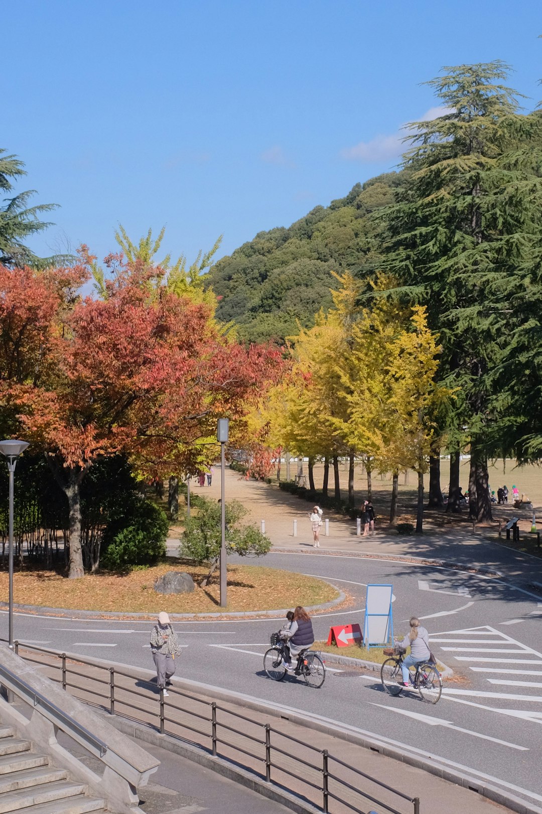 people walking on park during daytime