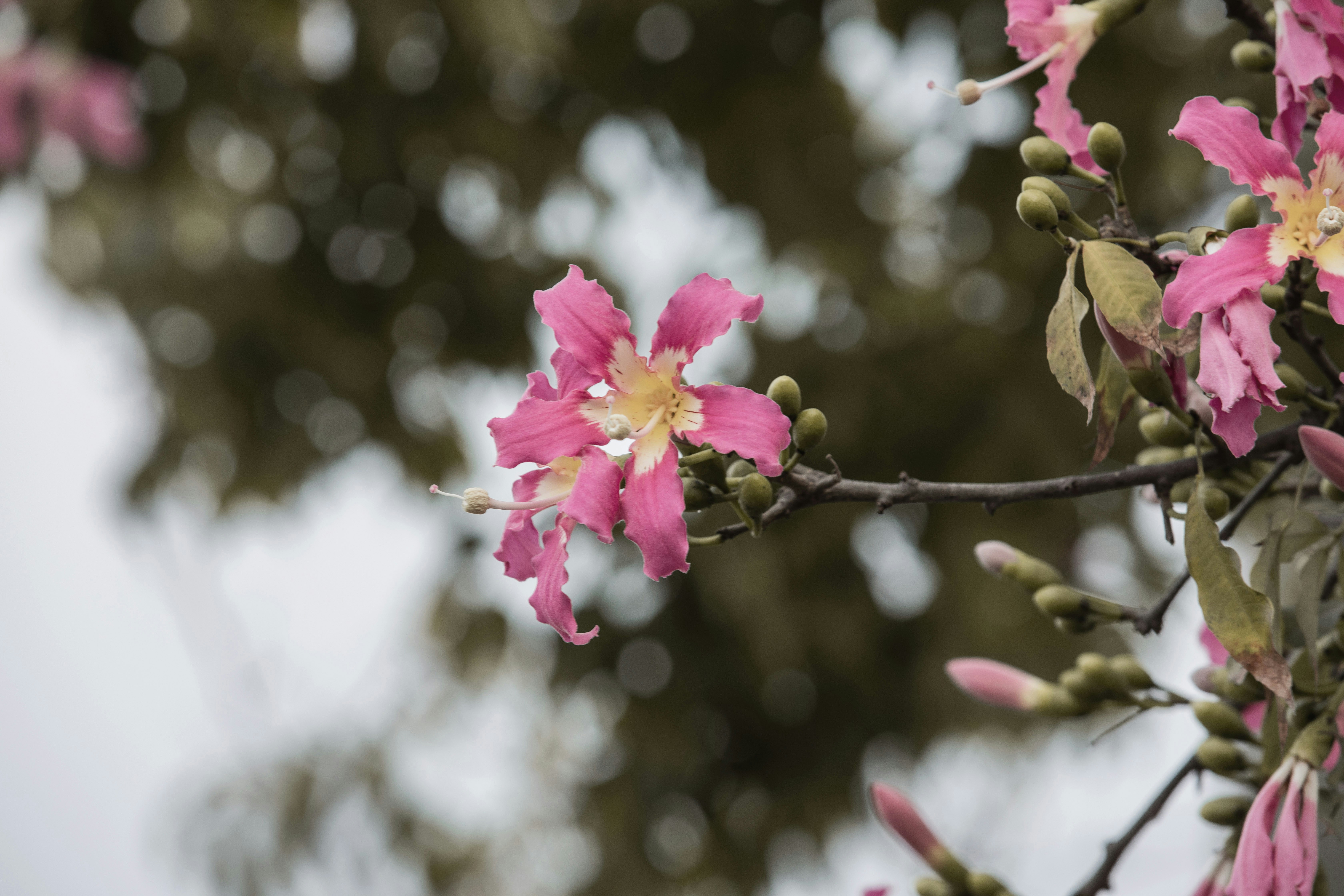 Photo by color0911