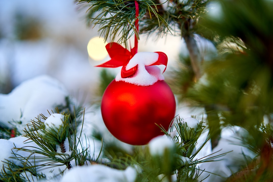 red and white heart ornament