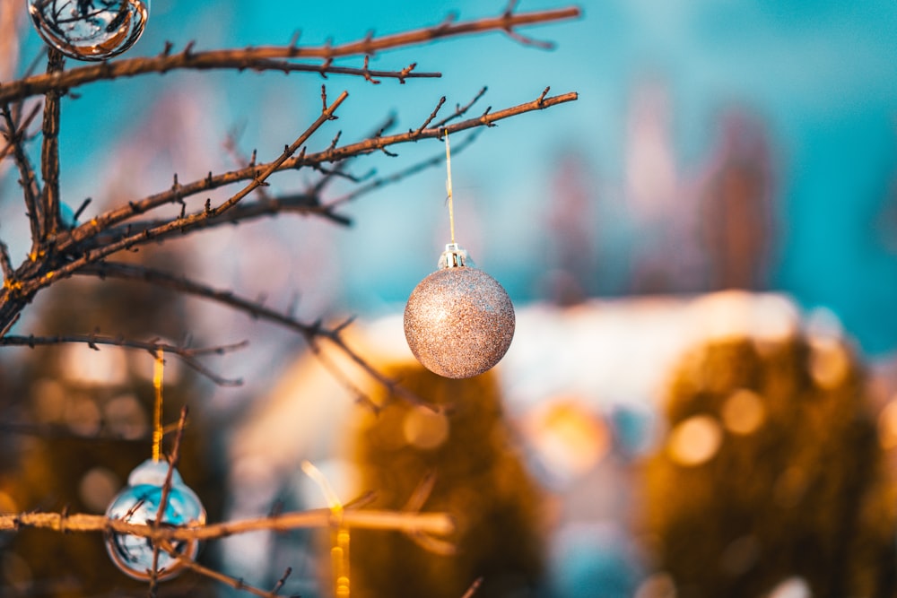silver bauble on brown tree branch