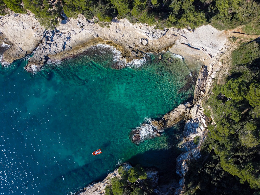 aerial view of people swimming on beach during daytime