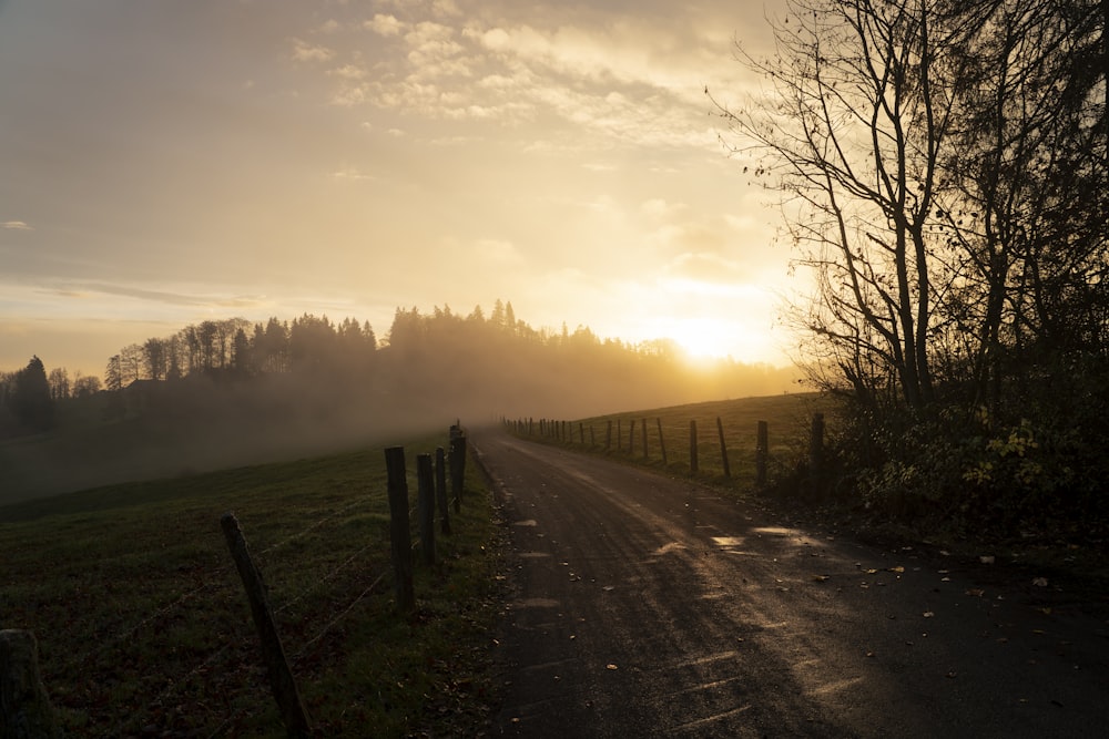 brown dirt road between bare trees under white sky during daytime