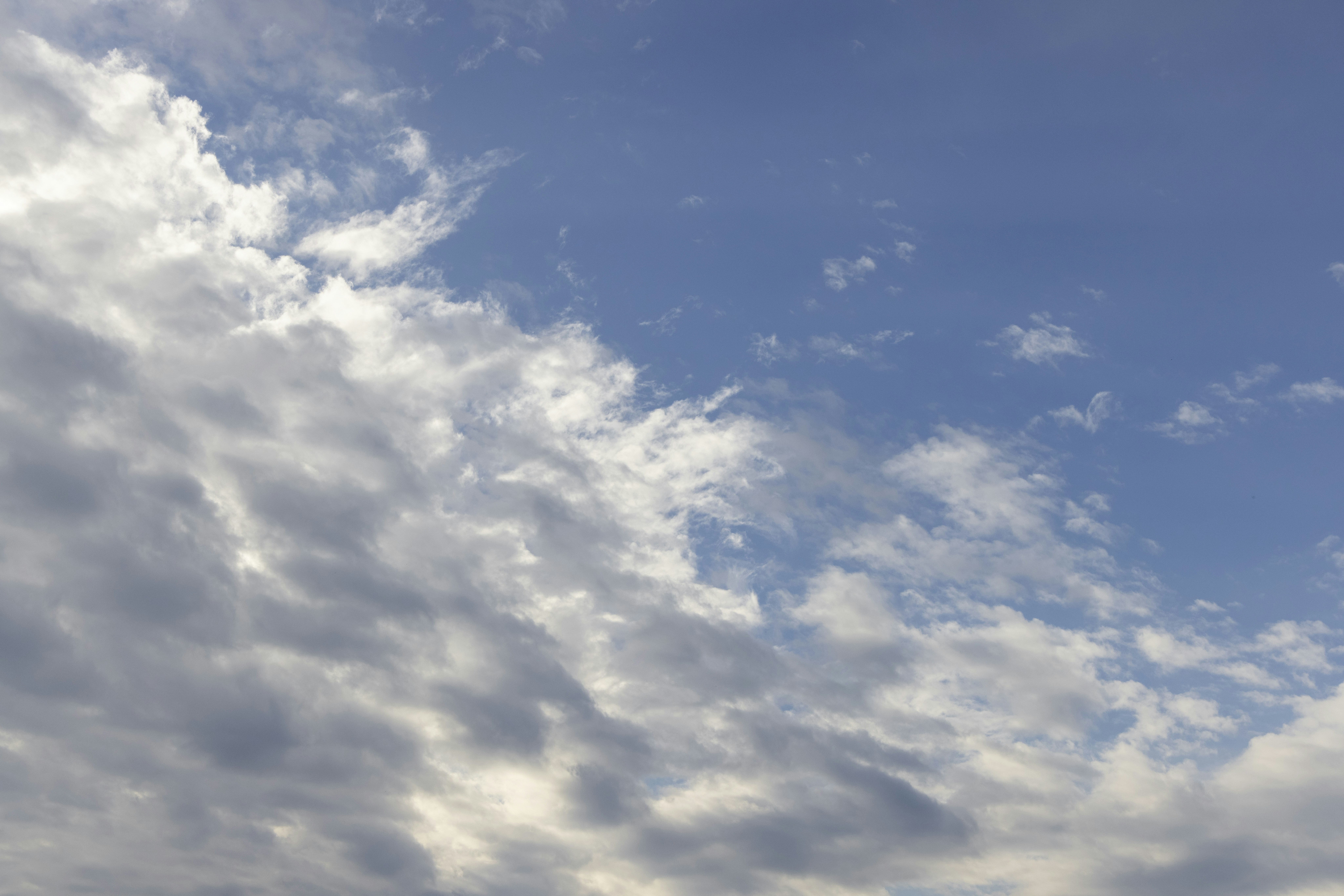 Photo by enginakyurt