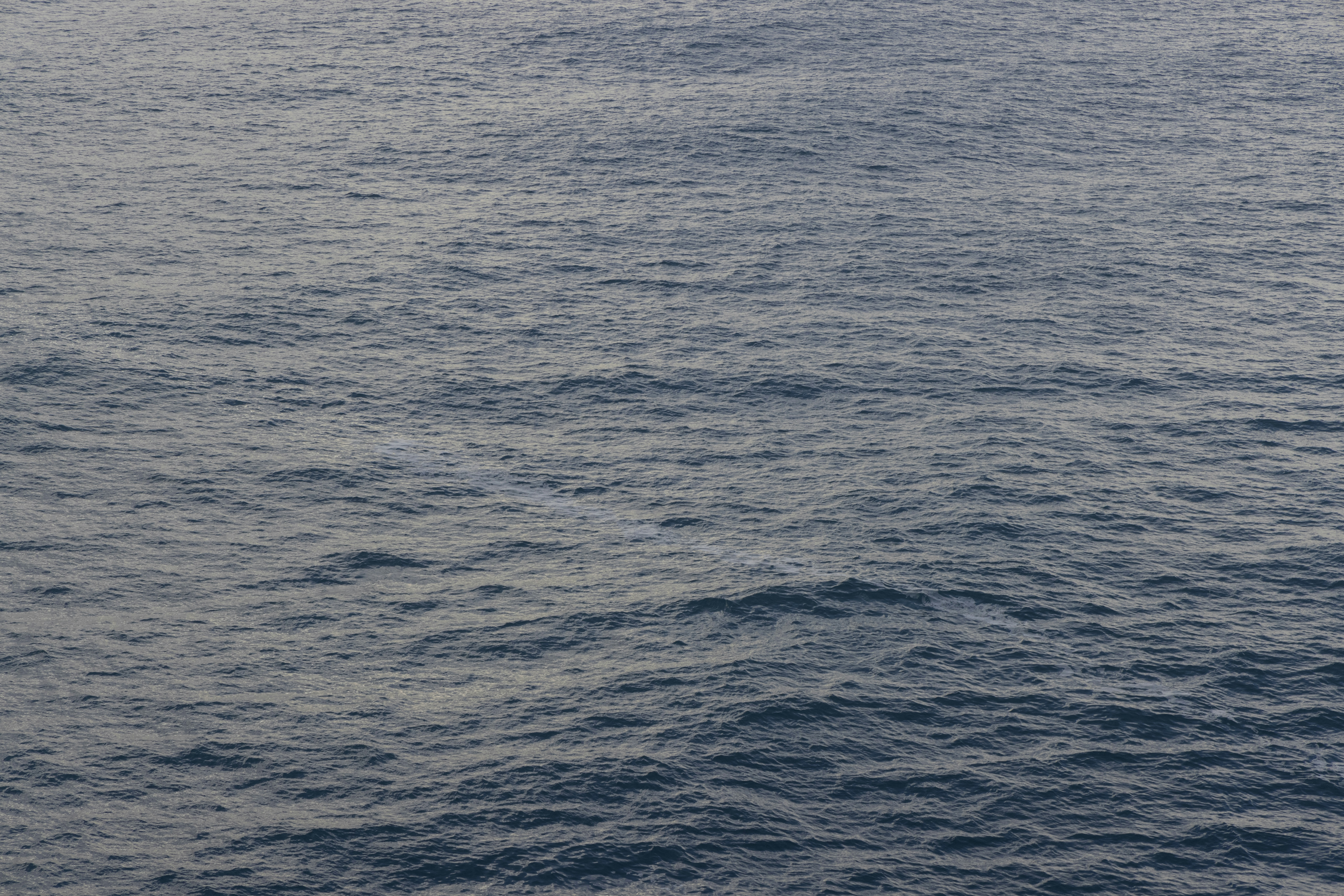 Photo by enginakyurt