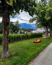 A scenic park with walking trails and greenery.
