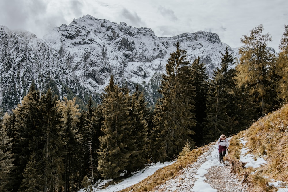 person in black jacket and blue denim jeans walking on snow covered ground near green pine