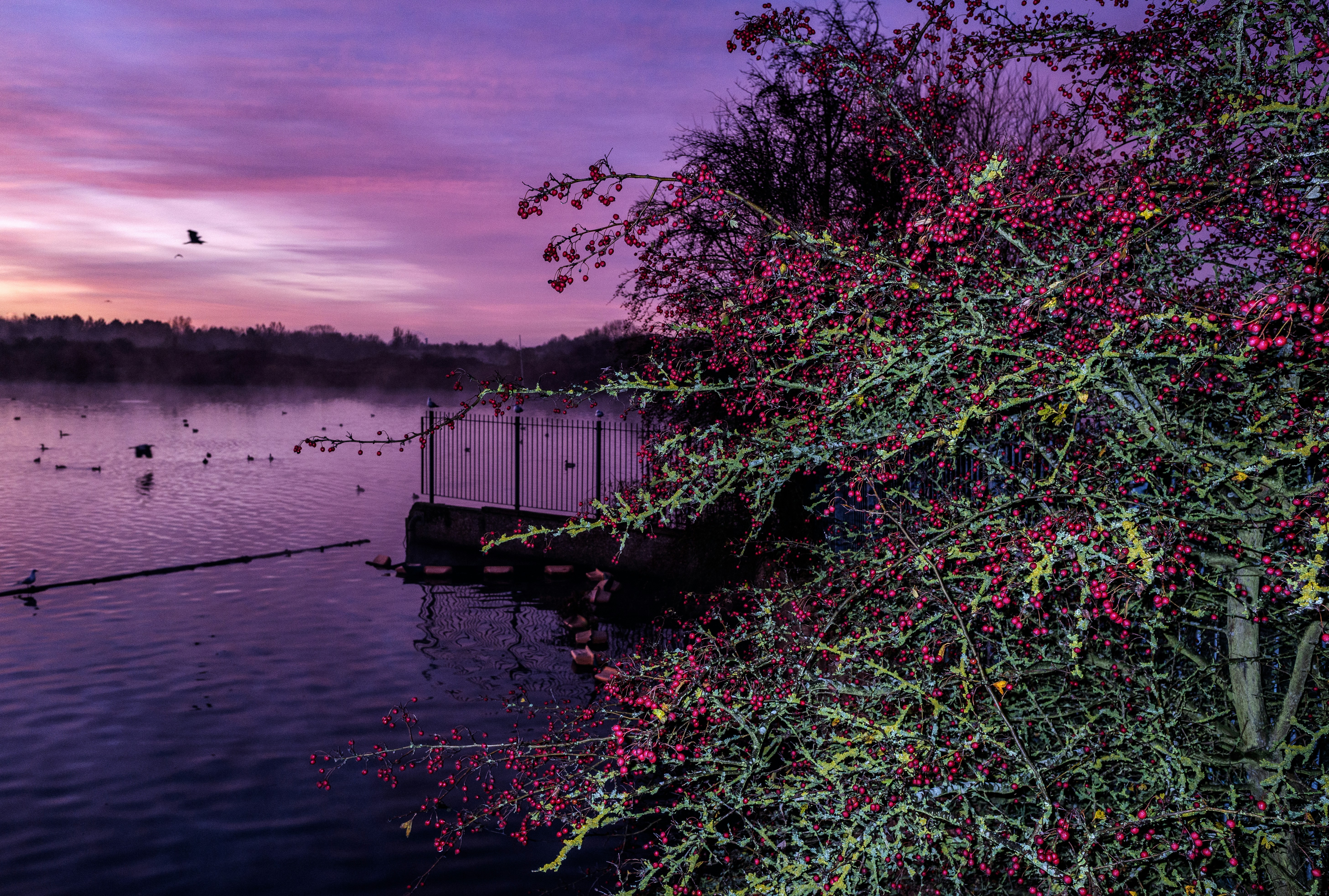 6 of the most eco-friendly hotels in Ilford